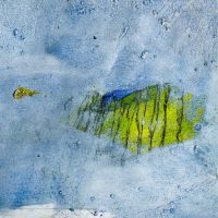 Max Fischer, Bild 16