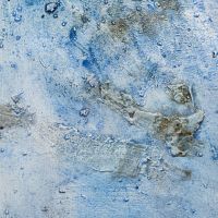 Max Fischer, Bild 15