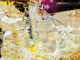 Max Fischer, Bild 11