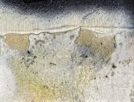 Max Fischer, Bild 12