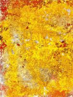 Max Fischer, Bild 14